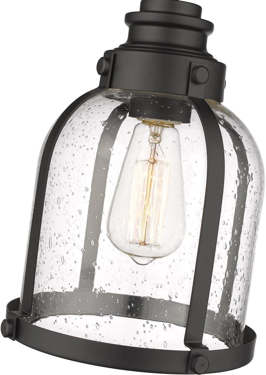 Z-Lite Burren 1 - Light Pendant in  Matte Black