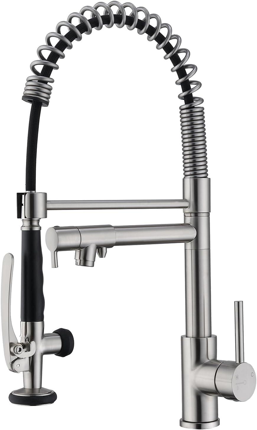 LOONGFIELD ASTARQ-W1932P172291 Kitchen Faucet Pull Down Sprayer Brushed Nickel,Single Handle Kitchen Sink Faucet