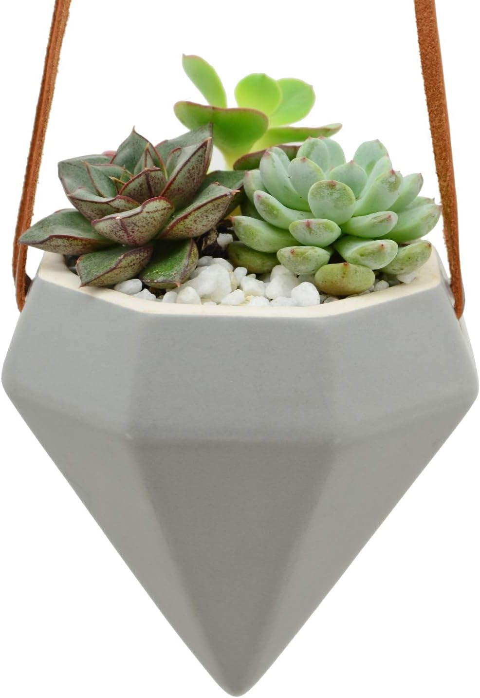 Guilford Ceramic Hanging Planter