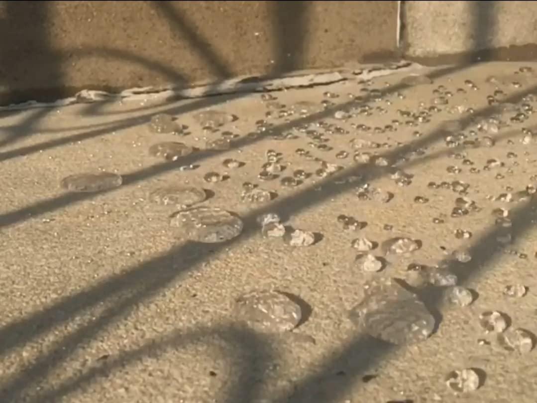 Nanotech Ultimate Sealer 1 Quart Natural for use on stone, concrete, pavers, un glazed tile, clay tiles, wood