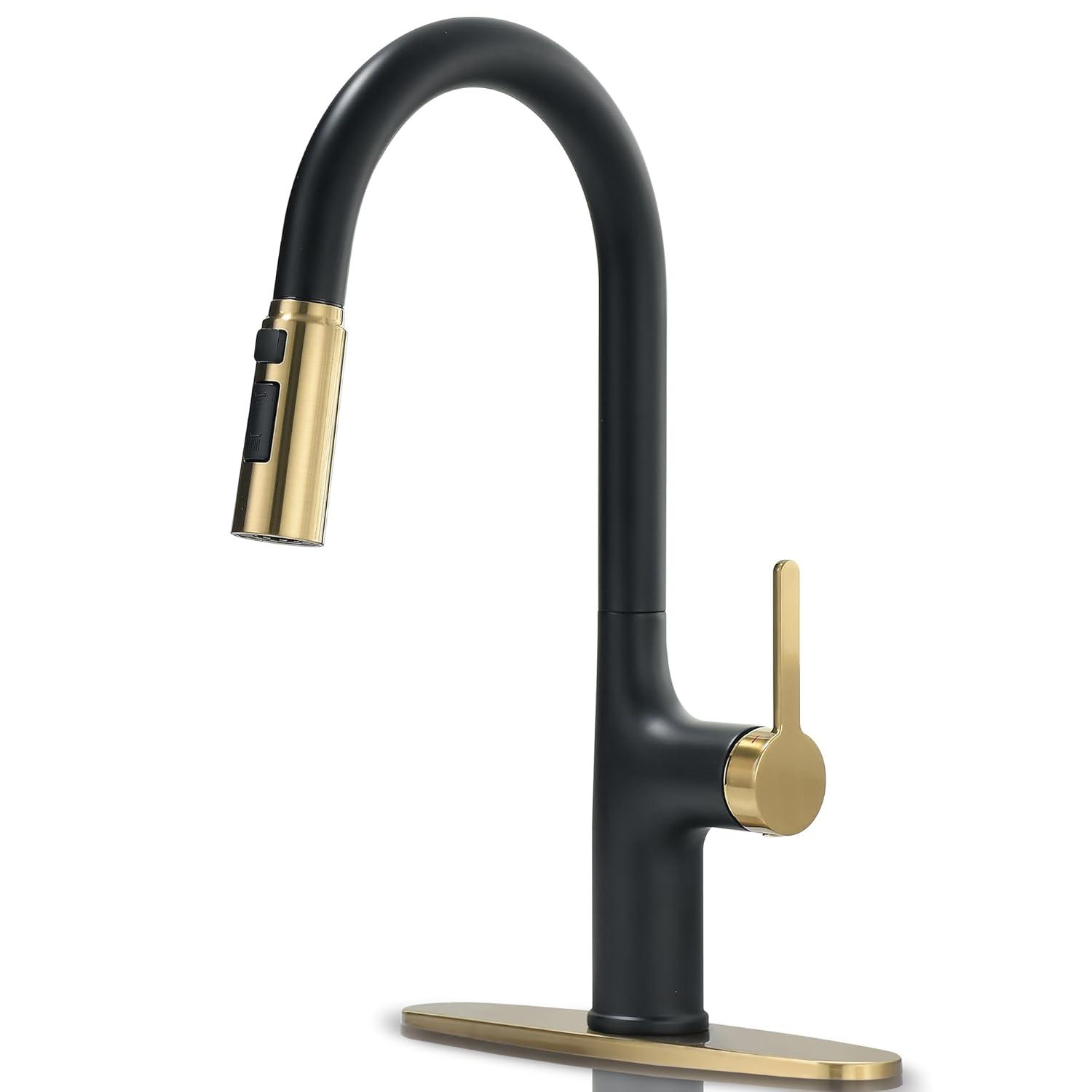 VIBRANTBATH Pull Out Kitchen Faucet
