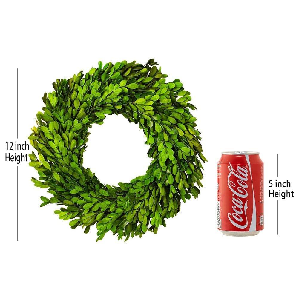 Alby Preserved Boxwood Real Greenery Wreath