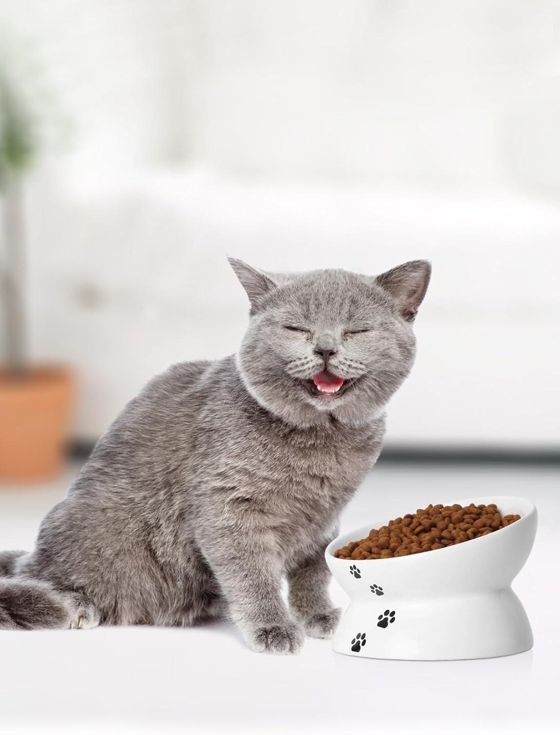 Cat Bowl Anti Vomiting,Raised Cat Food Bowls, Tilted Elevated Cat Bowl, Ceramic Pet Food Bowl for Flat Faced Cats, Small Dogs