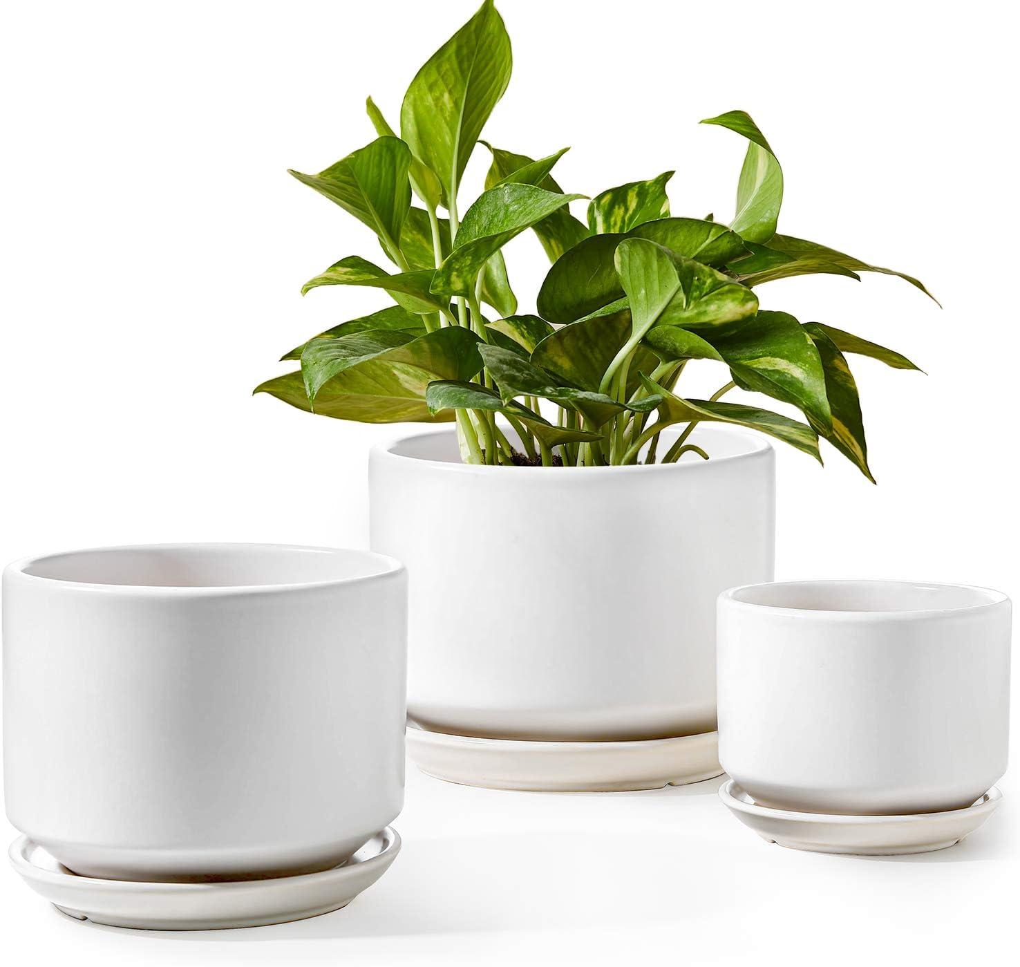 White Ceramic Planter Set with Drainage and Saucers, 3 Sizes