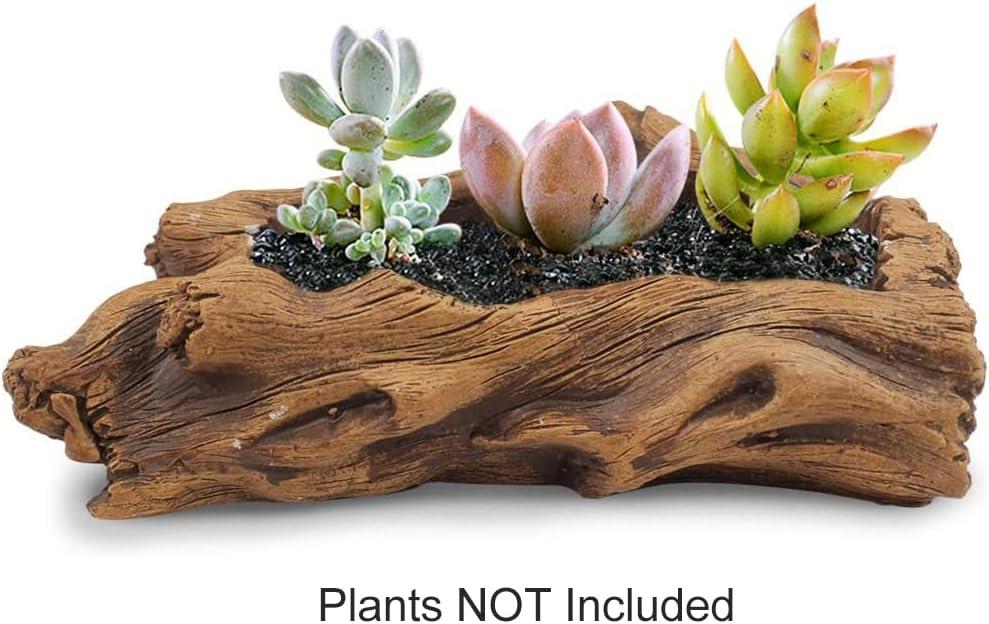 Classic Rectangular Concrete Indoor Succulent Planter with Drainage Hole