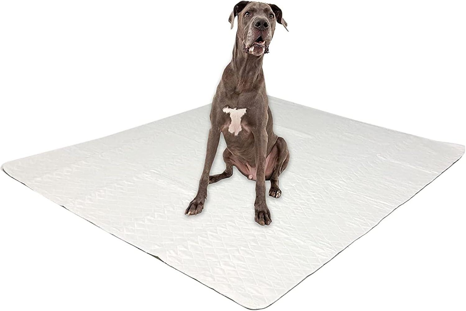Midlee Washable Pee Pad for Dogs 60" x 72" Pack of 3