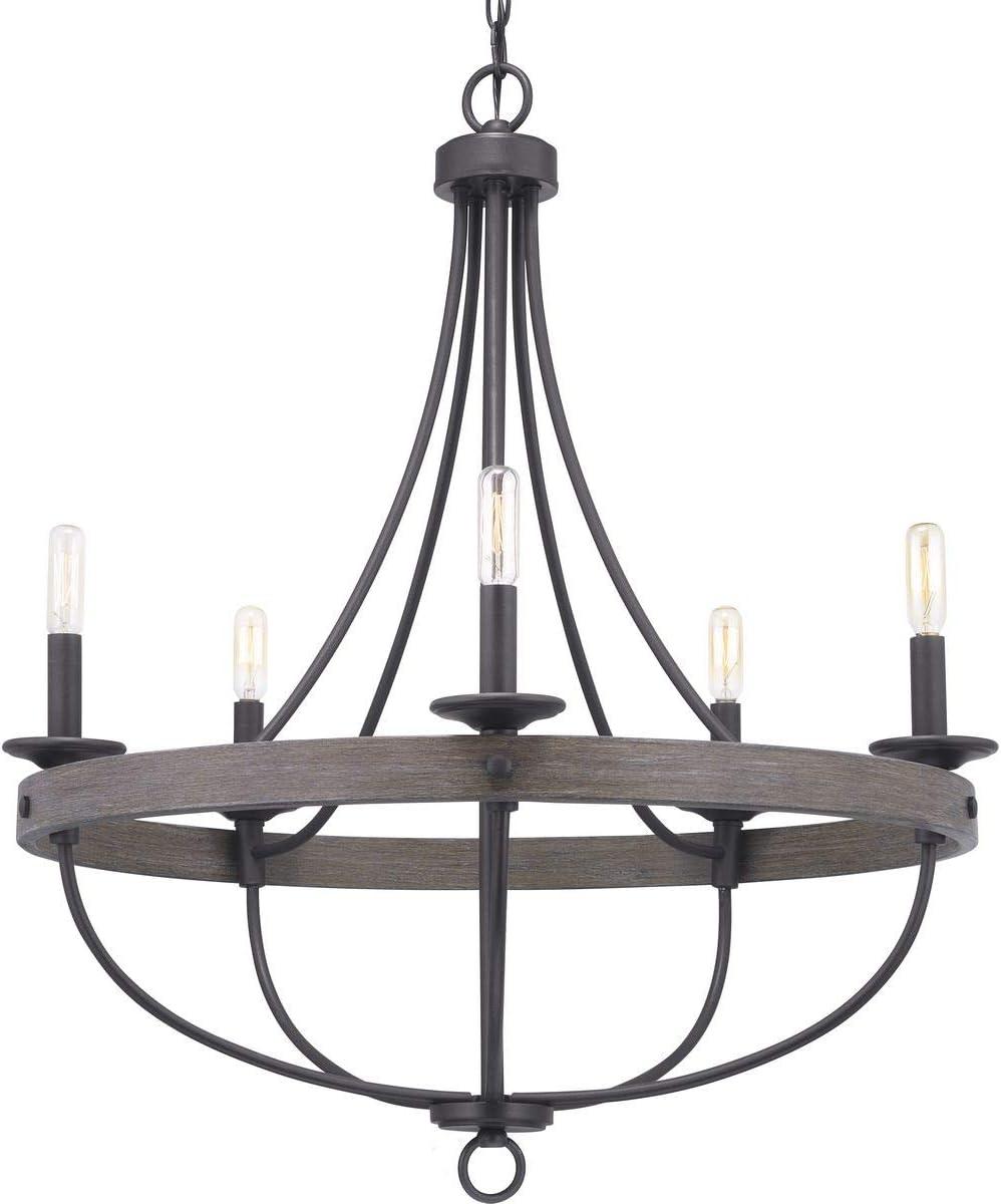 Progress Lighting Gulliver 5-Light Chandelier, Graphite Finish, Wood Grained Texture Shade