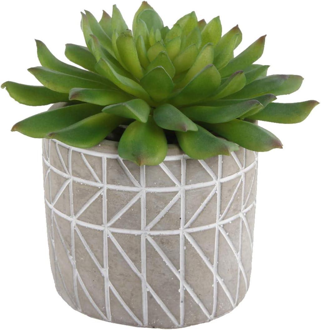 Flora Bunda Mid Century Artificial Plants Cactus Set of 2 Fake Succulent in 3" Cement Diamond line Pot Grey Planter, Potted Plants, for Home Office Decorations C65