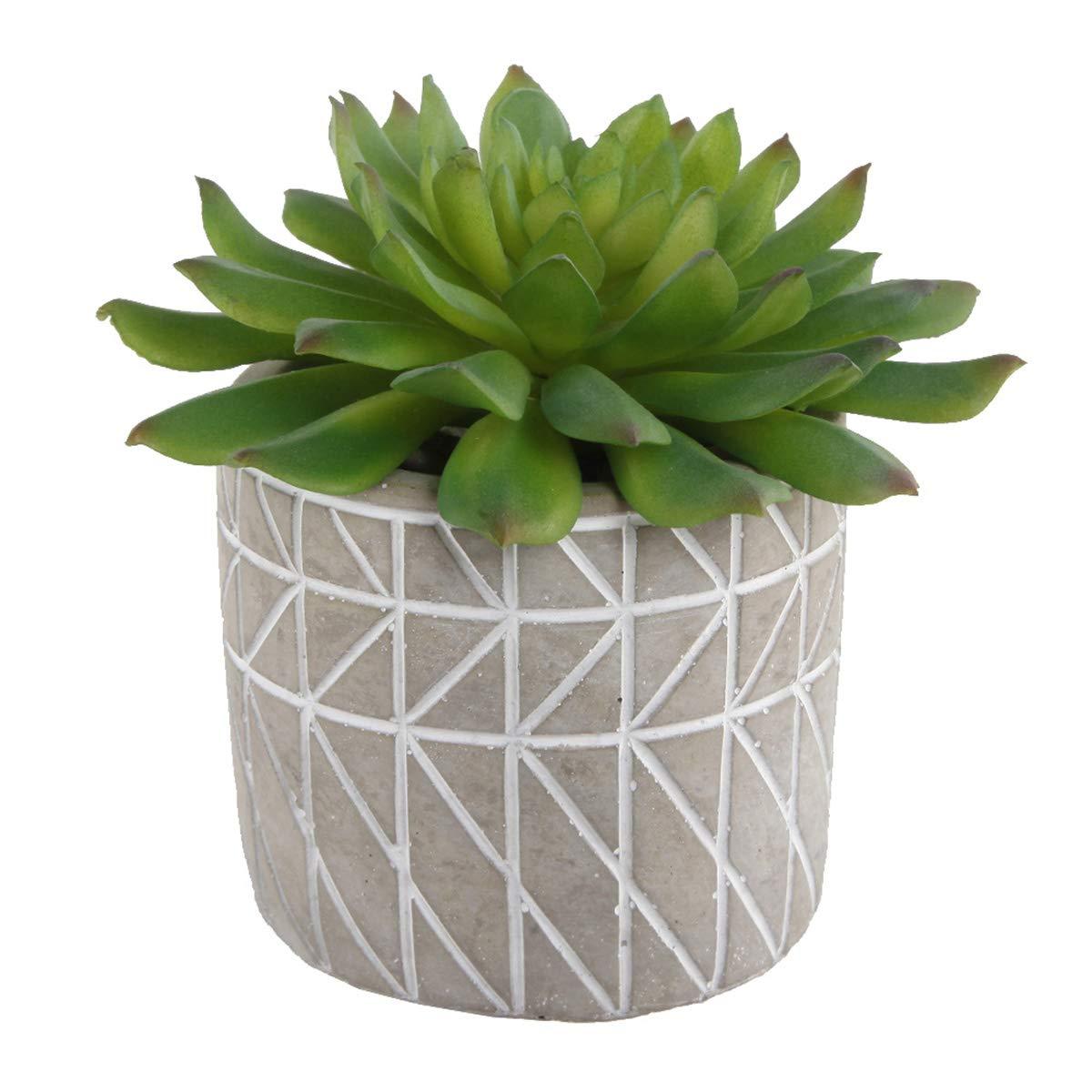 Flora Bunda Mid Century Artificial Plants Cactus Set of 2 Fake Succulent in 3" Cement Diamond line Pot Grey Planter, Potted Plants, for Home Office Decorations C65