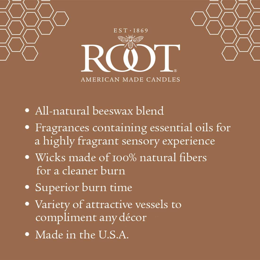 Root Candles Sugared Grapefruit Scented Jar Candle