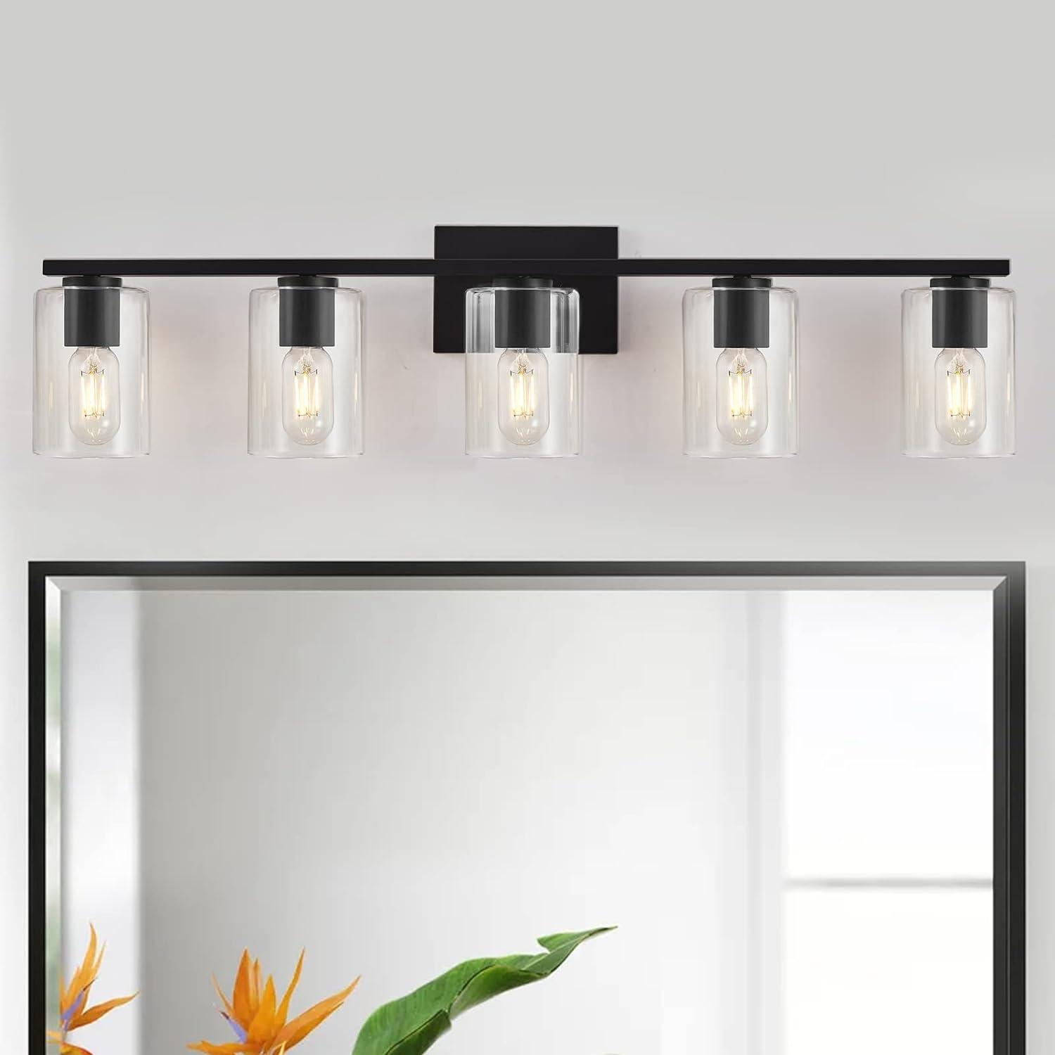 Matte Black 5-Light Bathroom Vanity Fixture with Glass Shades