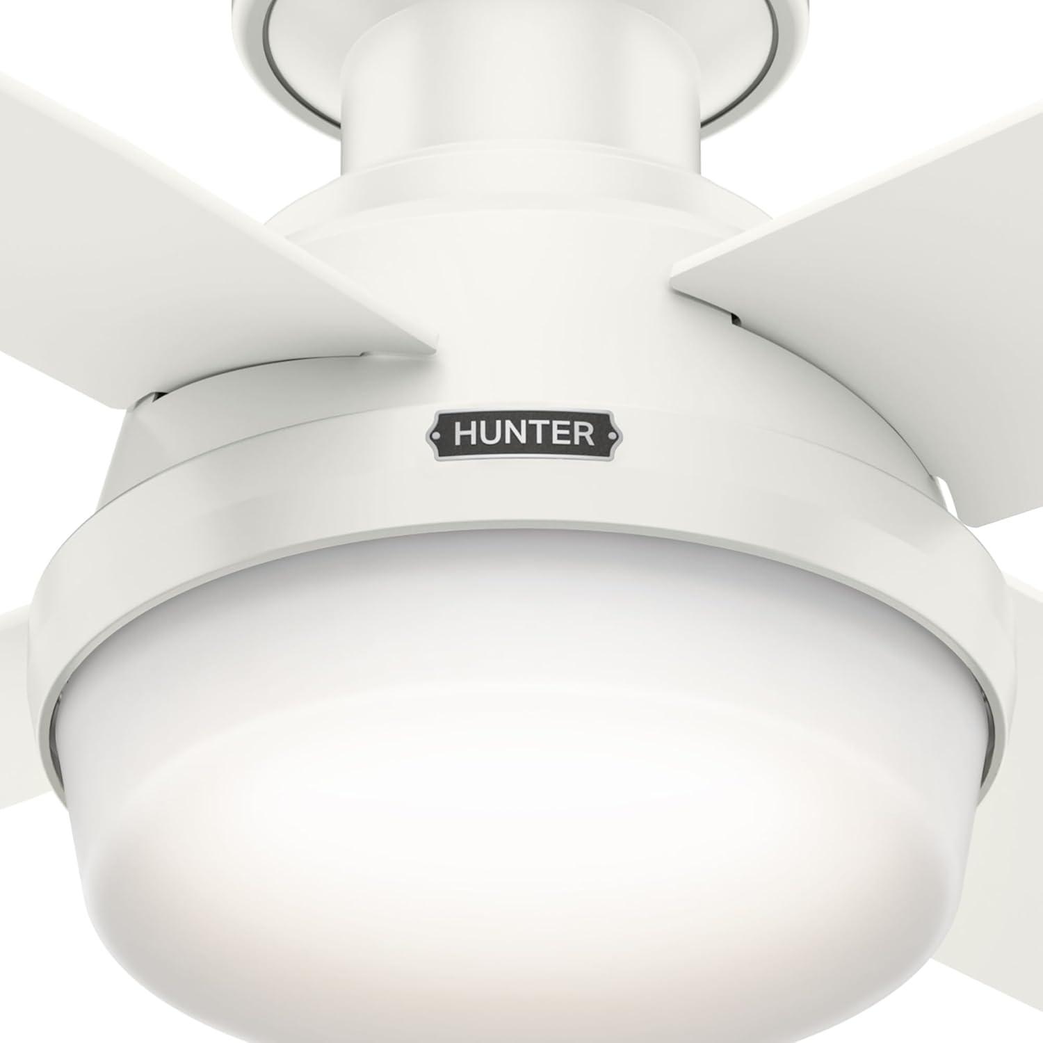 Dempsey Low Profile 44" 4 - Blade Flush Mount Ceiling Fan with Lights and Remote