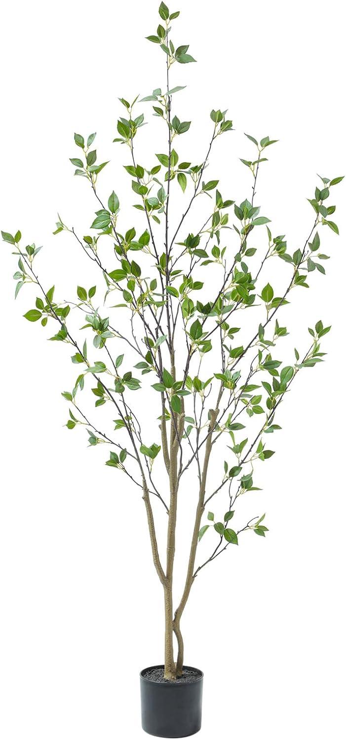 Faux Minimalist Citrus Tree 5'