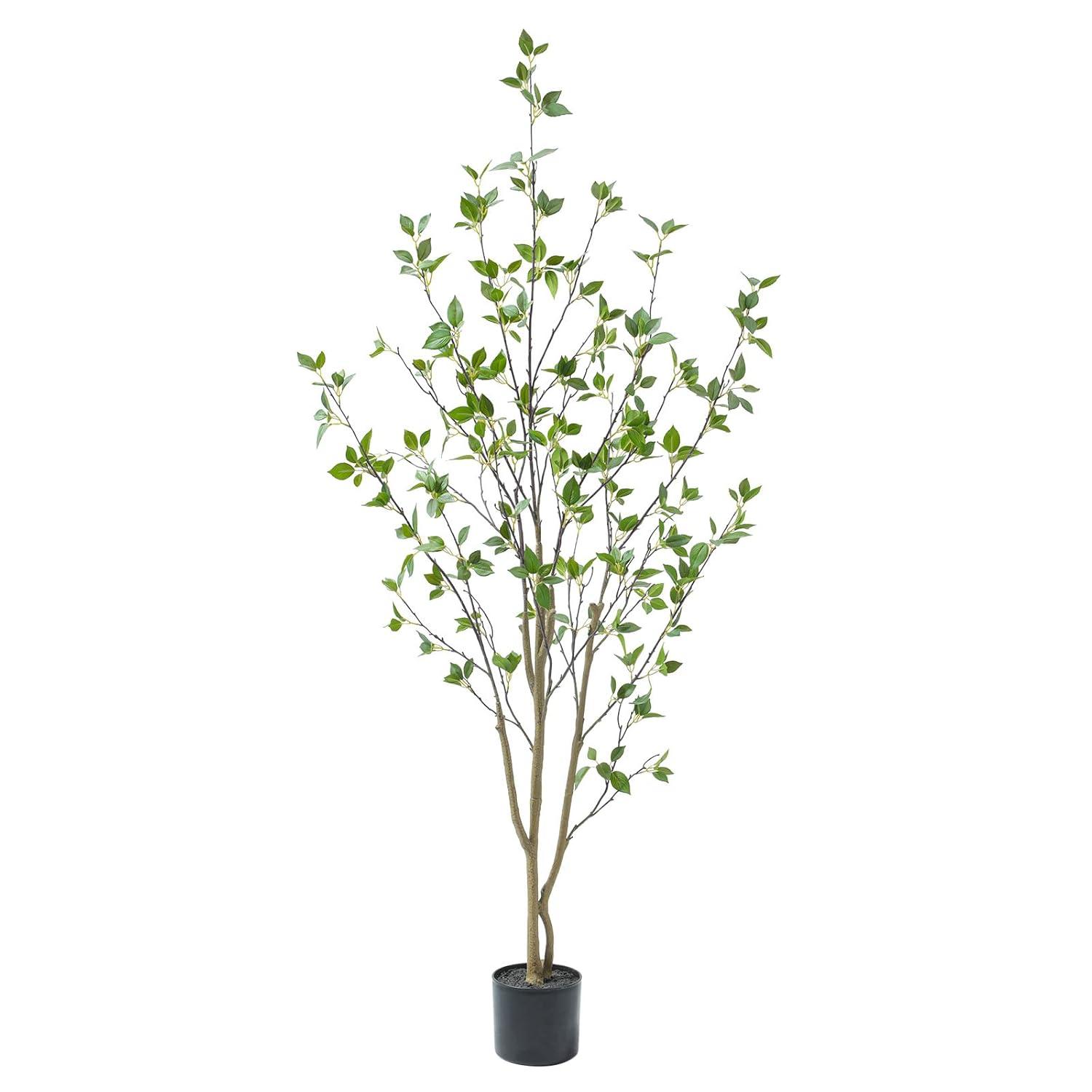 Faux Minimalist Citrus Tree 5'