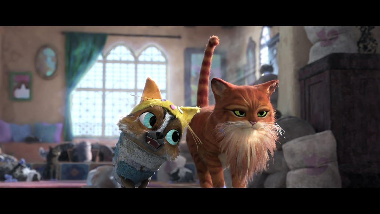 Puss in Boots the Last Wish (Blu-ray)