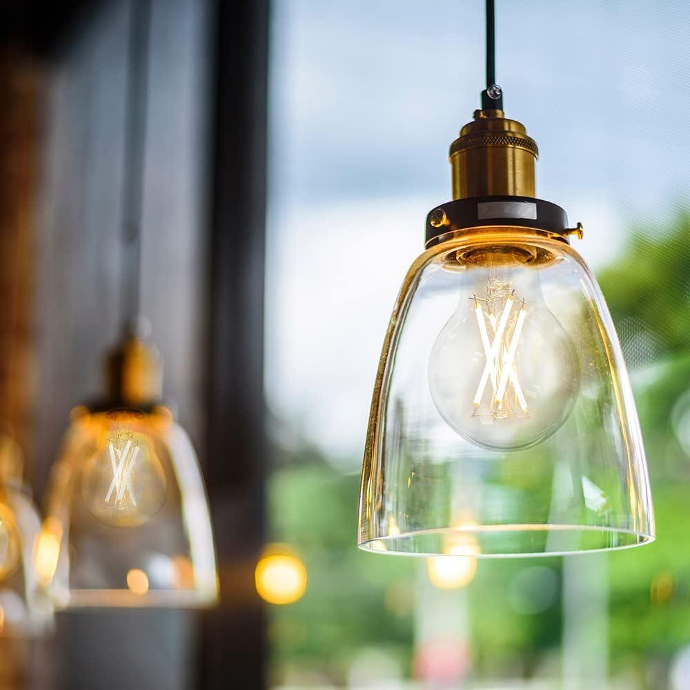 Maxxima Dimmable LED A19 Edison Light Bulb, 60 Watt Equal, 2700K Warm White 800 Lumens (6 Pack)