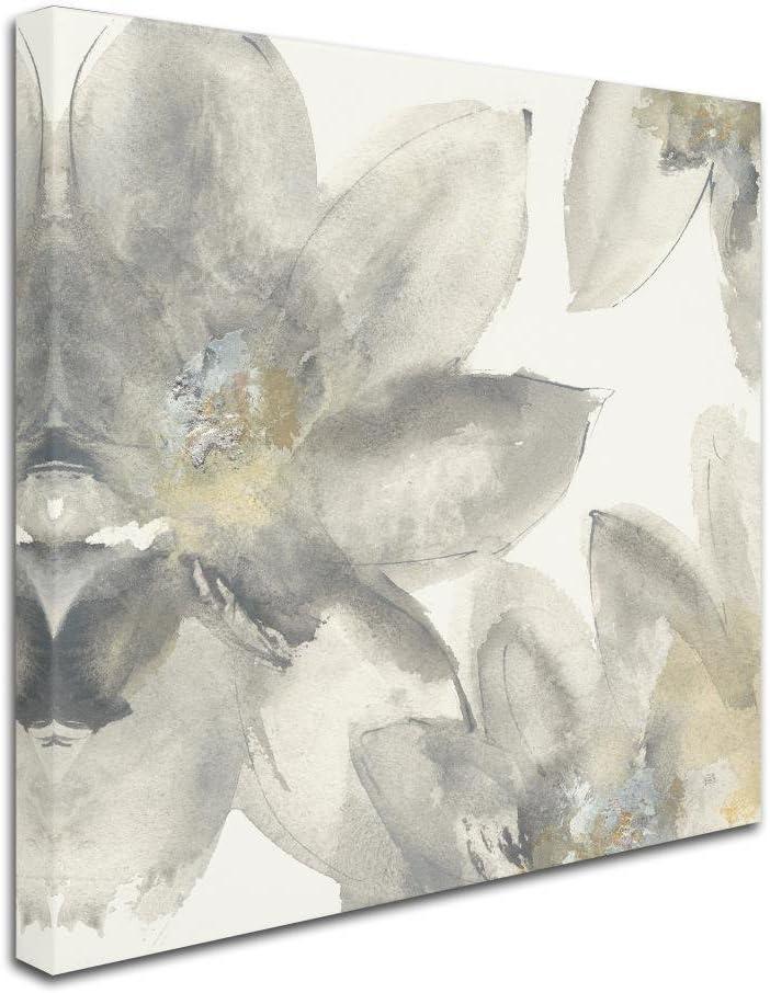 Trademark Fine Art -Chris Paschke 'Gray and Silver Flowers I' Canvas Art - 24''x24''