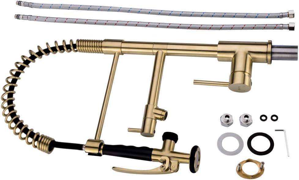 LOONGFIELD ASTARQ-W1932P172291 Kitchen Faucet Pull Down Sprayer Brushed Nickel,Single Handle Kitchen Sink Faucet
