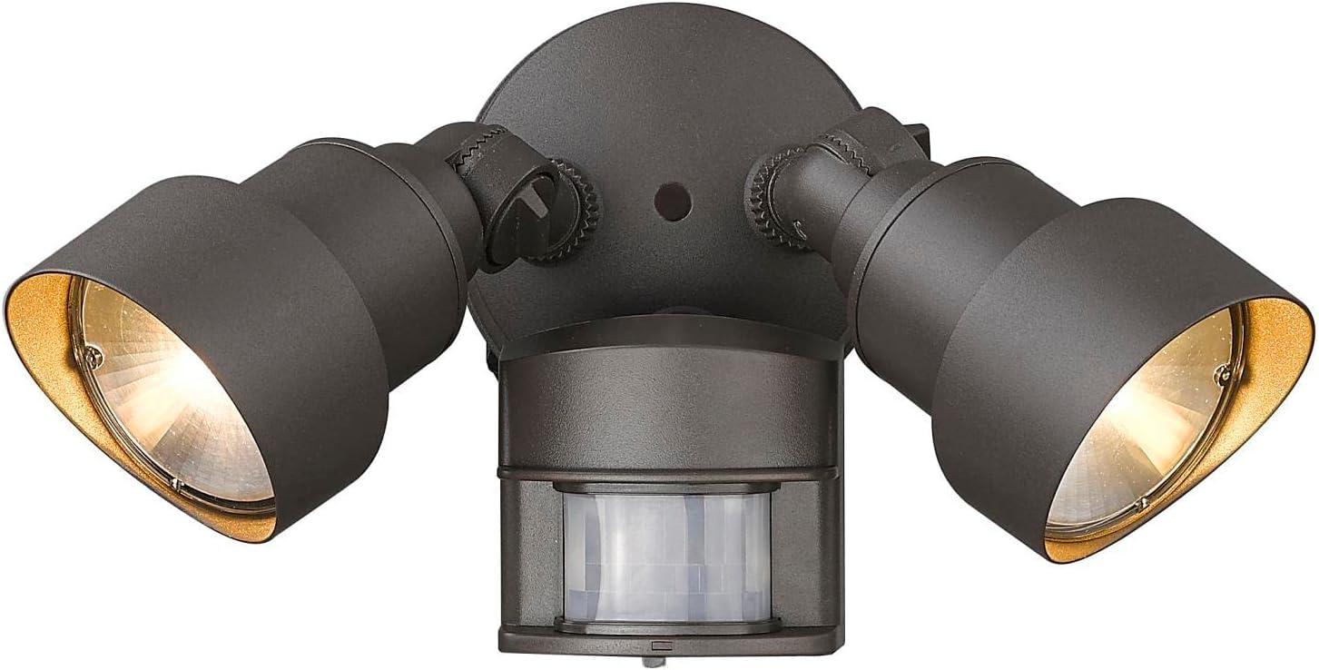 Acclaim Lighting Motion Activated LED Floodlights Outdoor Light Fixture