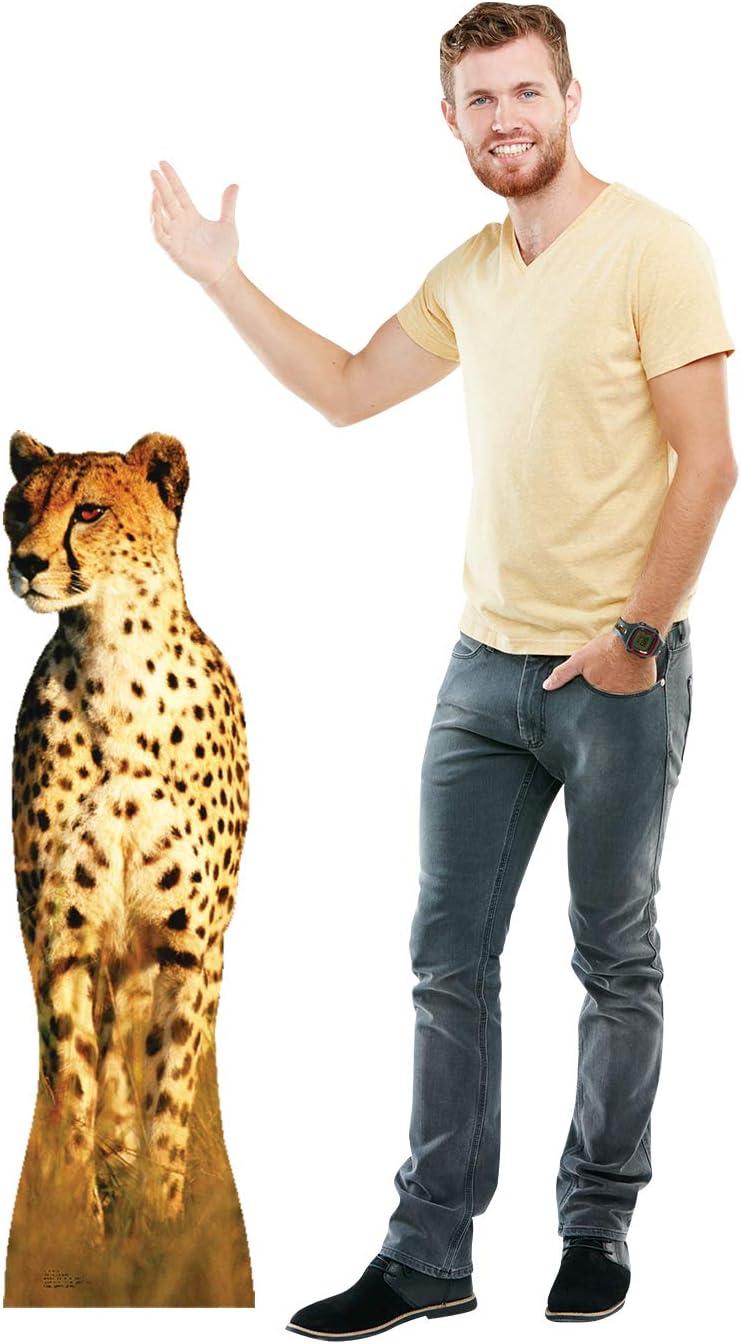 Cheetah Cardboard Stand-Up, 4ft