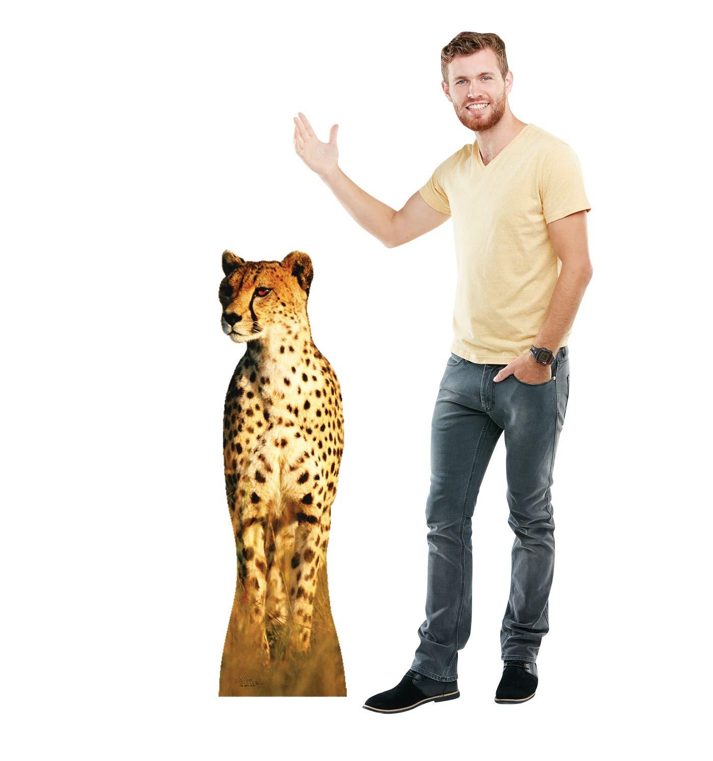 Cheetah Life-Size Cardboard Stand-Up