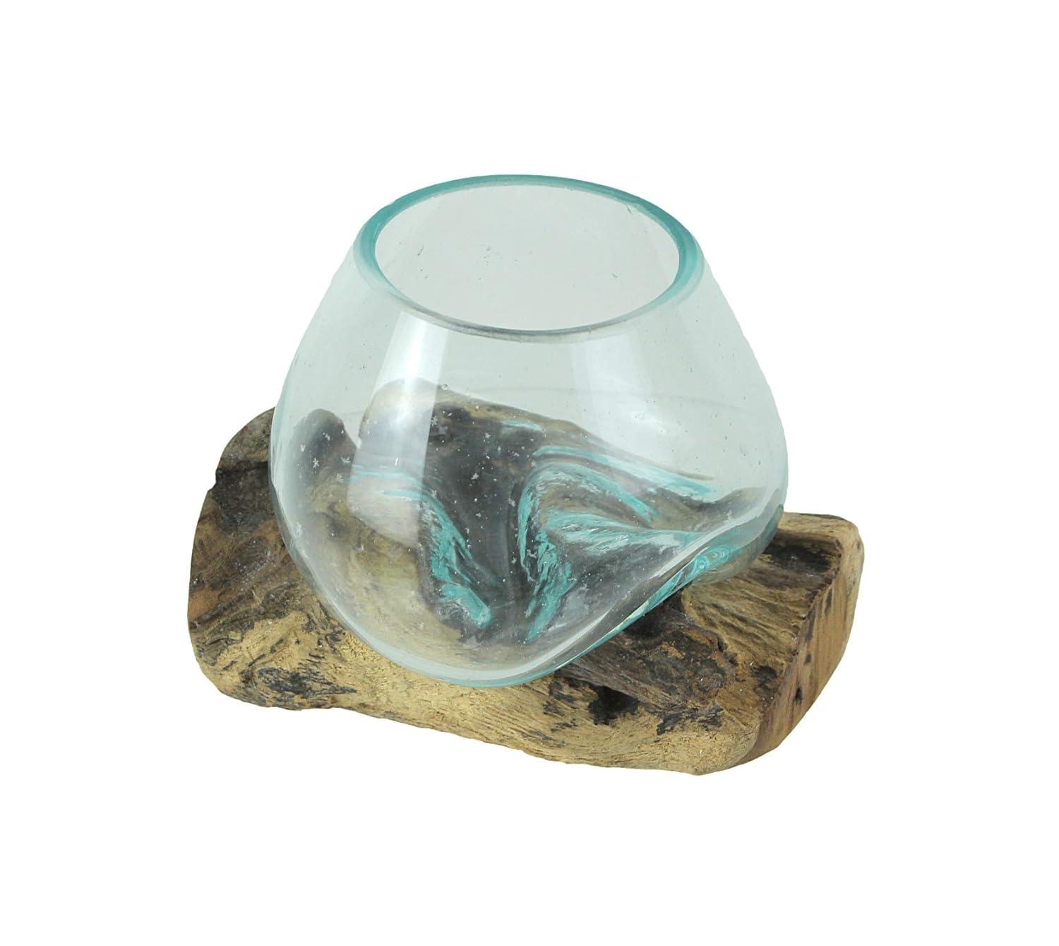 Things2Die4 Things2Die 6 in x 6 in x 5 in Blown Glass On Teak Wood Decorative Mini Terrarium