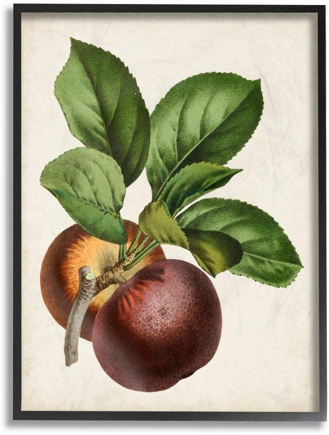 Stupell Industries Vintage Fruit Painting Framed Giclee Texturized Art by Vision Studio