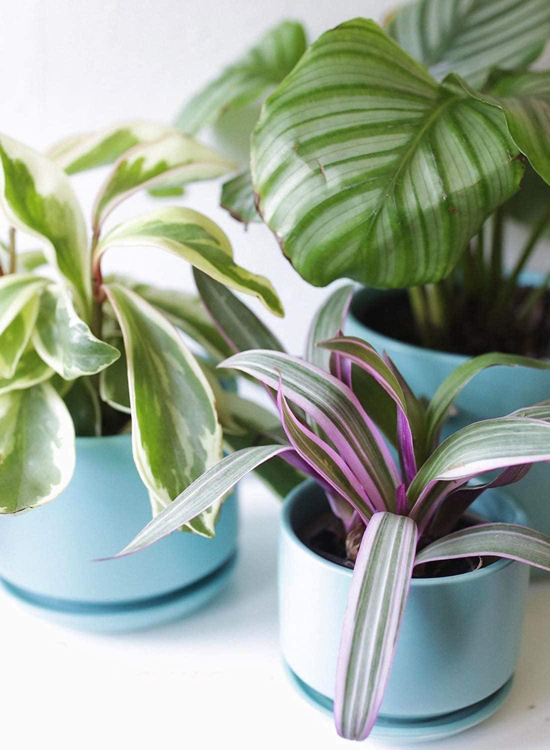 Set Of 3 Modern Ceramic Planter Pots With Drainage - Stylish Indoor/Outdoor Decor