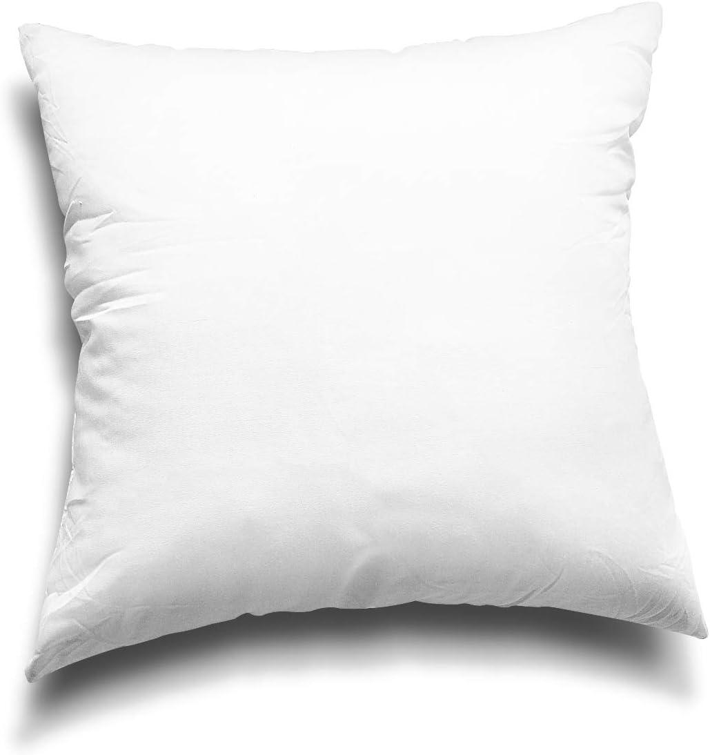 Ewgqwb Throw Pillows & Pillow Cases Back Cushion 2-Piece Non-woven Pillow Core Substitute Polyester Square Pillow Core