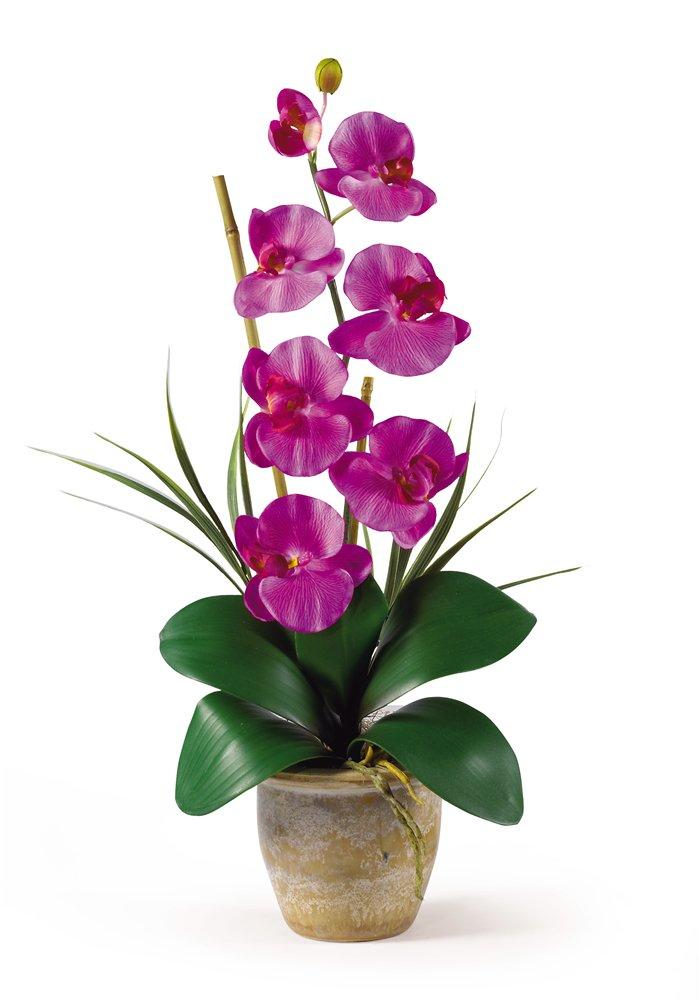 Nearly Natural Single Stem Phalaenopsis Orchid Silk Flower