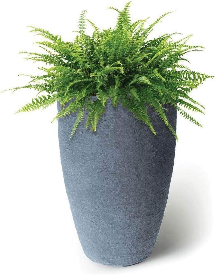 Algreen Products 87301 Athena 20.5" Self Watering Level Indicator Indoor Outdoor Plastic Planter with Overflow Drain, Charcoalstone