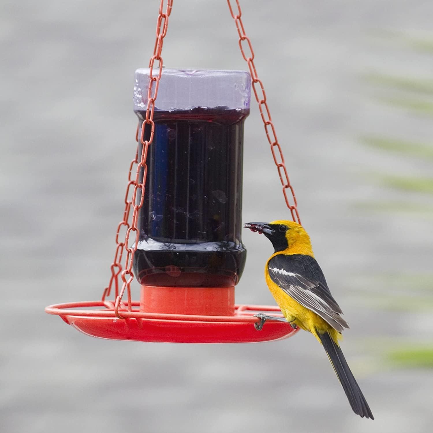 Orange Hanging Metal and Plastic Oriole Nectar Feeder