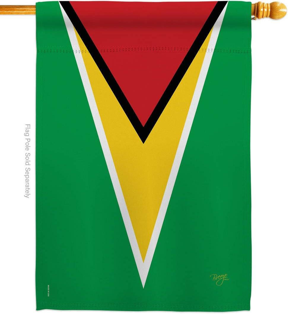 Guyana Patriotic Polyester Vertical House Flag, 28" x 40"