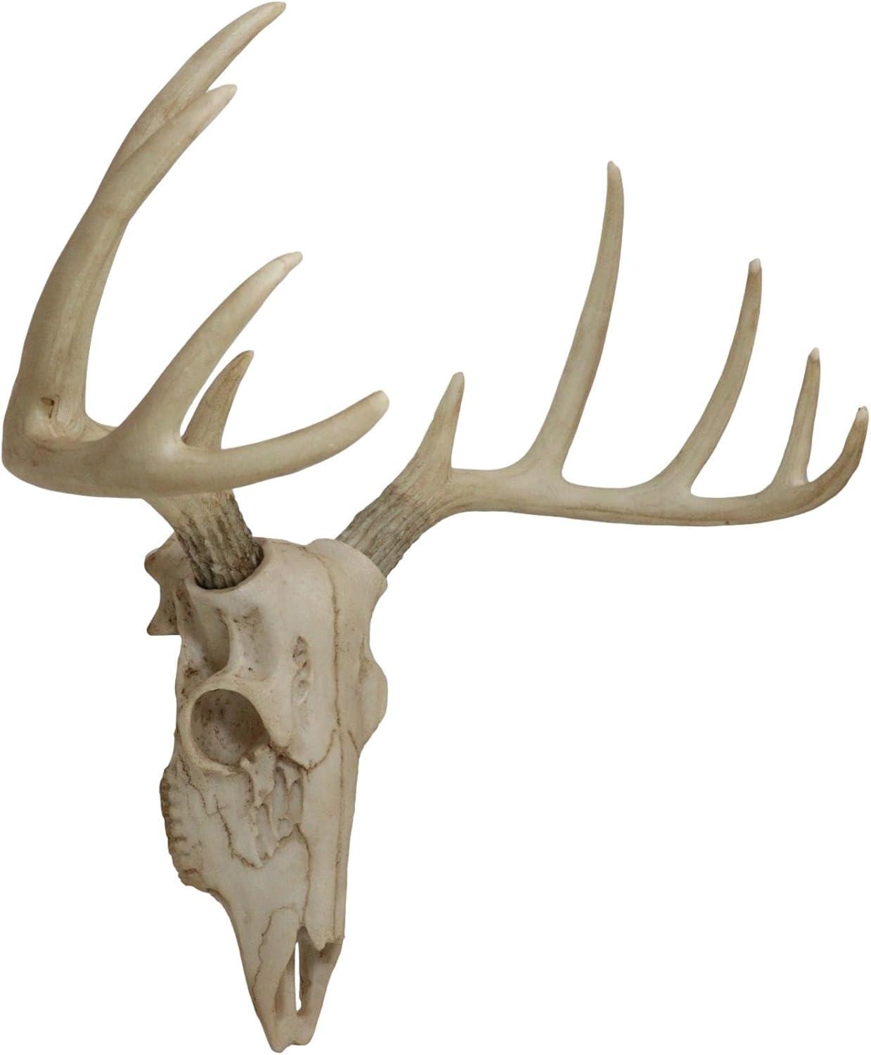 Ebros Gift Rustic Hunter Deer 10 Point Buck Skull Trophy Antlers Wall Mounted Plaque Decor Figurine 14.25" Long Hunter's Antler Rack Theme Deer Buck Hunting Skulls Trophies Hanging Sculpture
