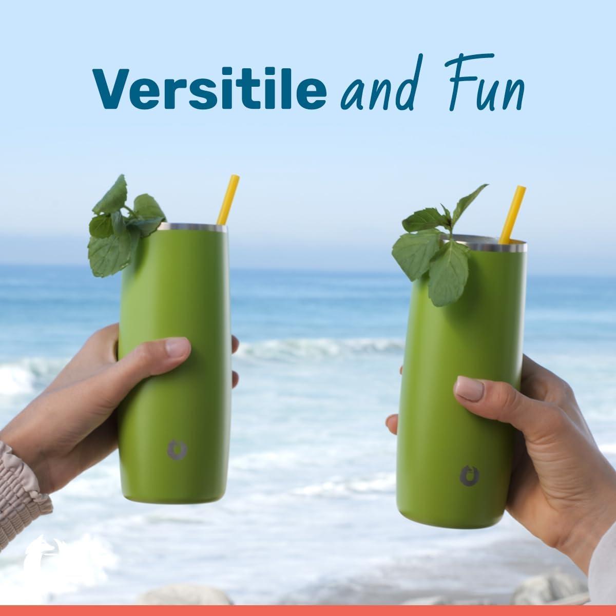 Steel Vacuum Insulated Highball Glass Set of 2