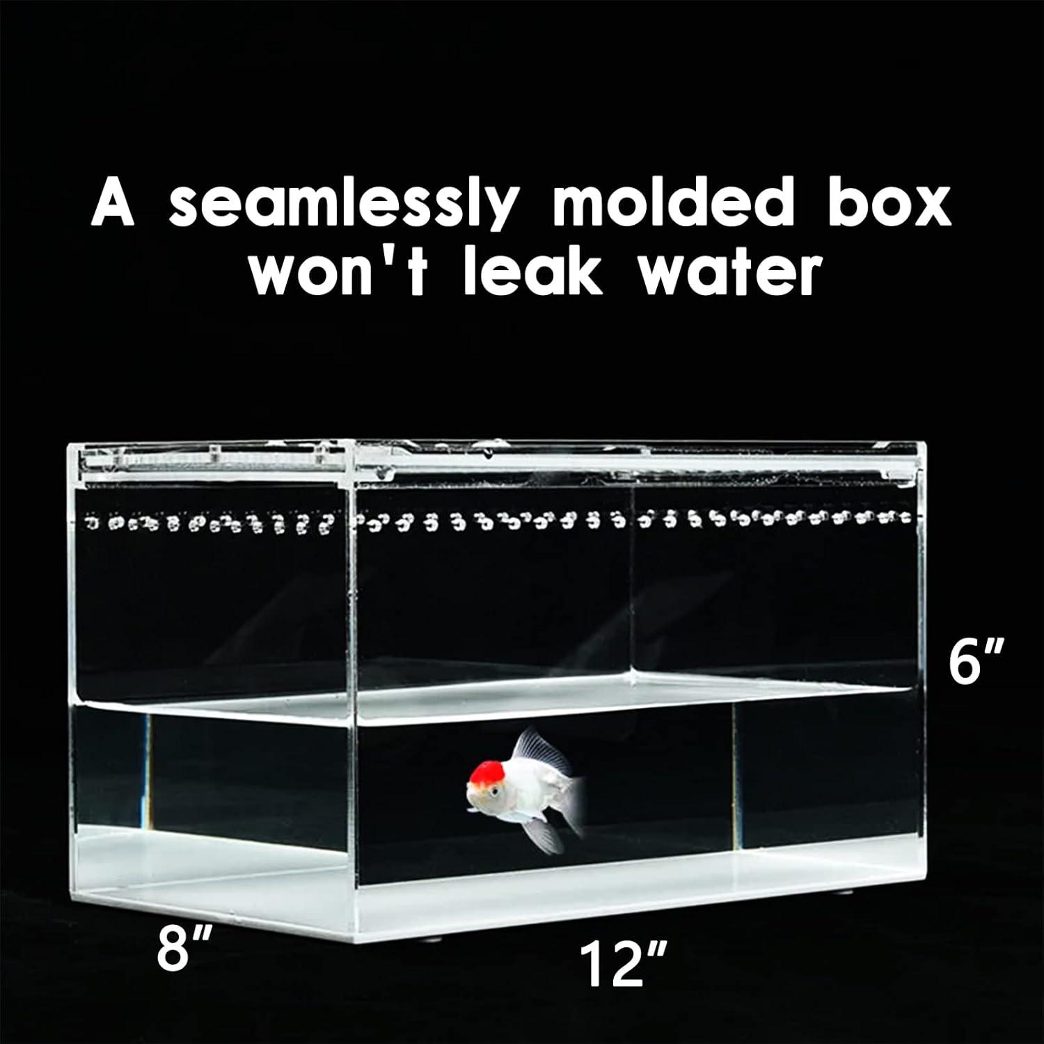 Reptile Terrarium - Amphibian Tank Starter Kit, Eco Rainforest Feeding Box, Amphibian Feeding Box, Suitable for breeding Lizards, Snakes, Chameleons,Jumping Spiders