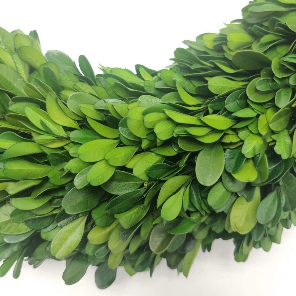 Alby Preserved Boxwood Real Greenery Wreath