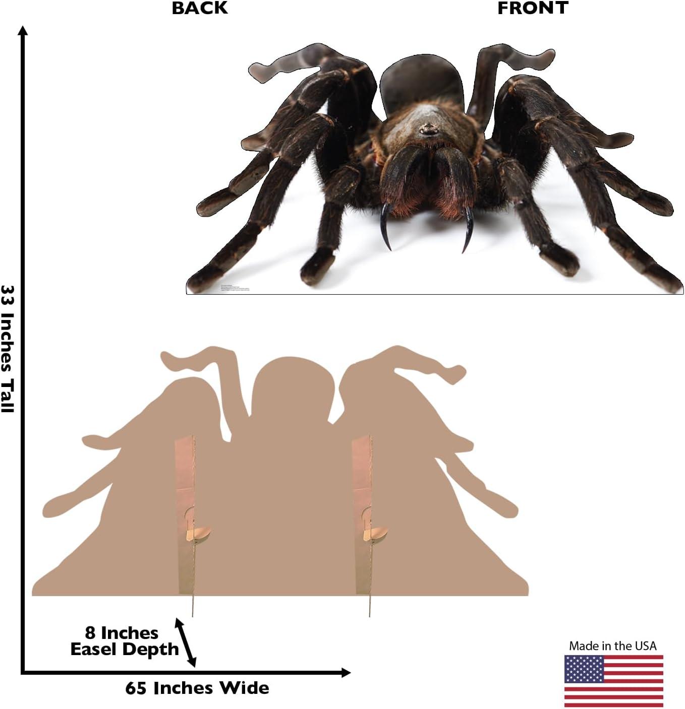 33 x 65 Inch Giant Tarantula Cardboard Cutout