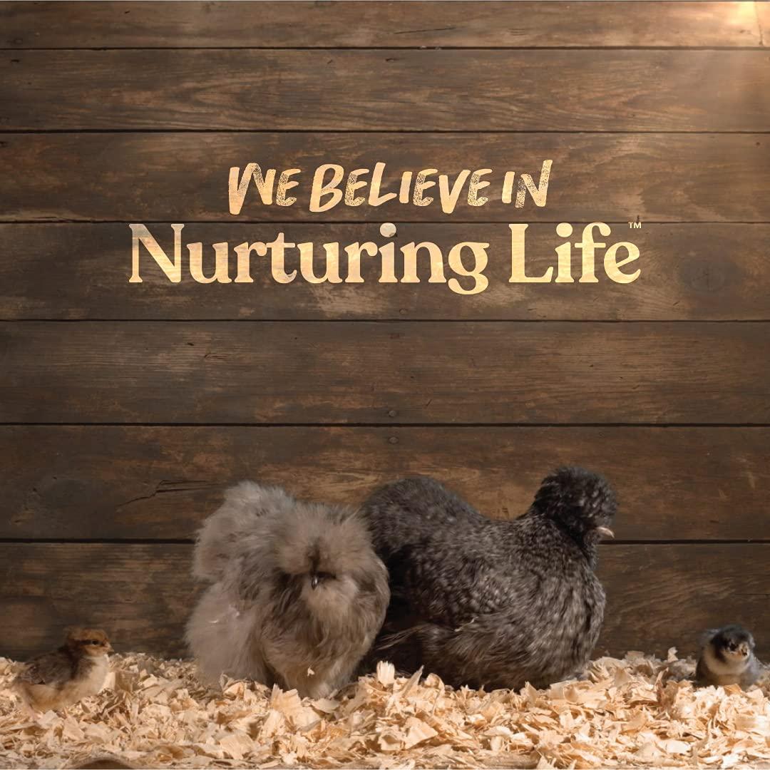 Harris Farms Free Range Hanging Poultry Feeder, Twist Lock Base, 10 lbs