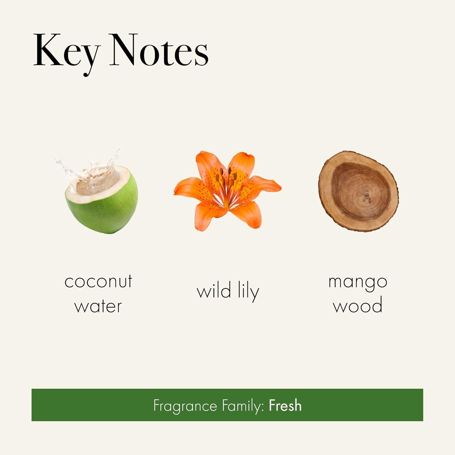 Treehouse Retreat 15.5oz Soy Wax Candle with Coconut & Mango Wood Notes
