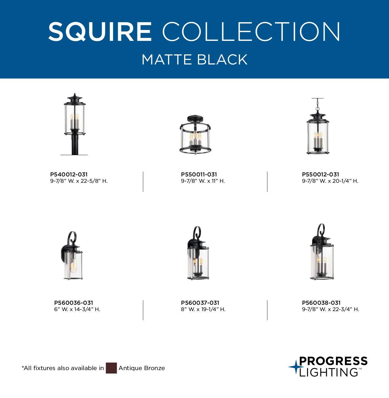 Progress Lighting Squire 3-Light Hanging Lantern, Steel, Black Finish, Clear Glass Shade