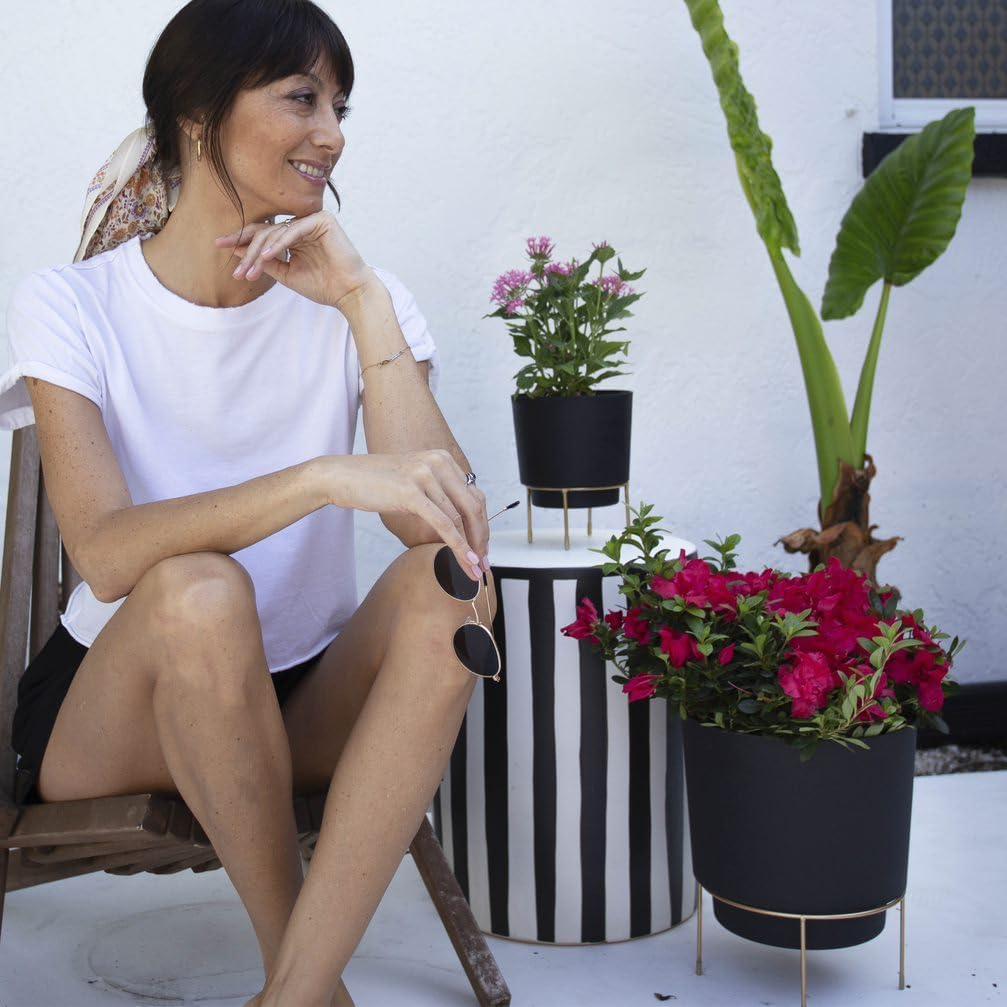 Bloem 10-in Hopson Modern Round Resin Planter with Gold Metal Stand - Black