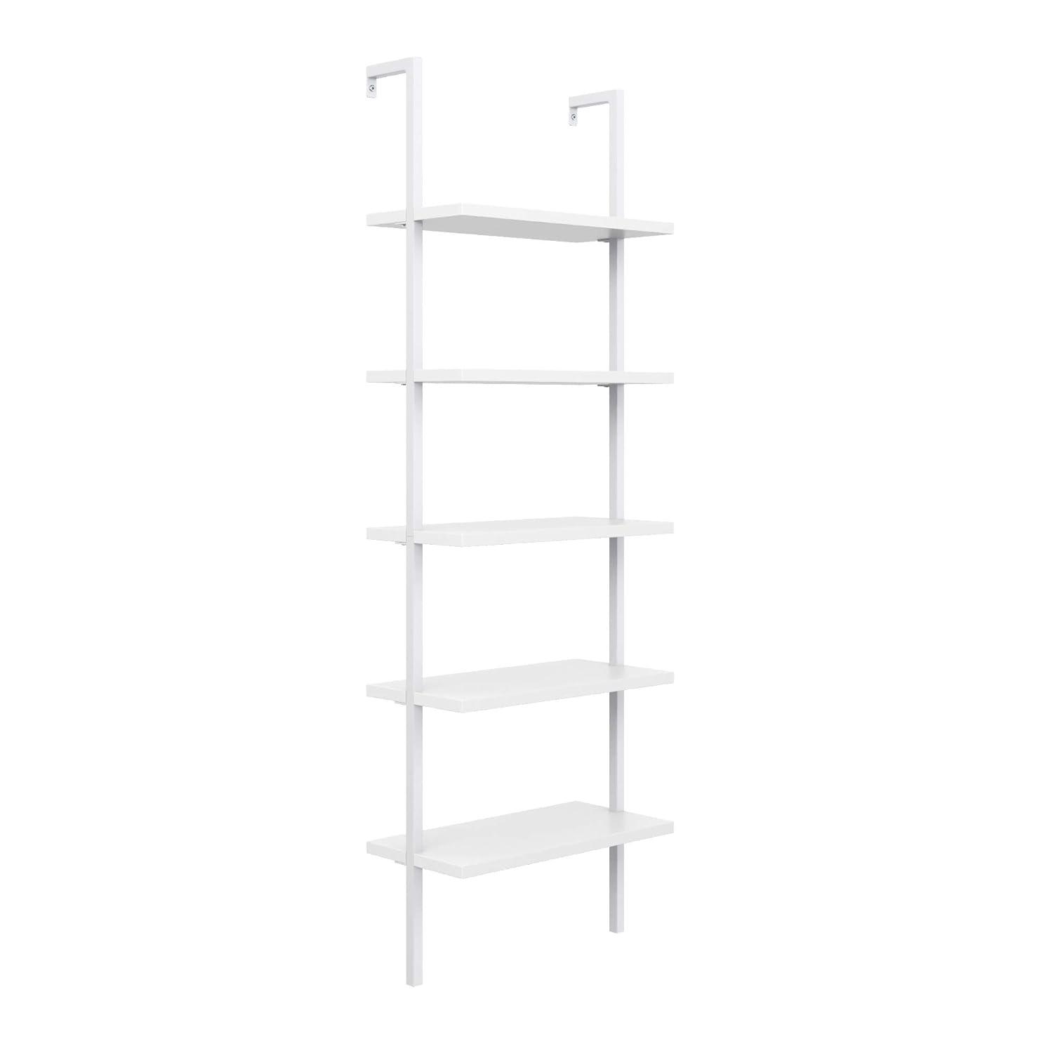 Hassch 5 Tiers Ladder Bookshelf Industrial Bookcase Storage Rack with Metal Frame, White