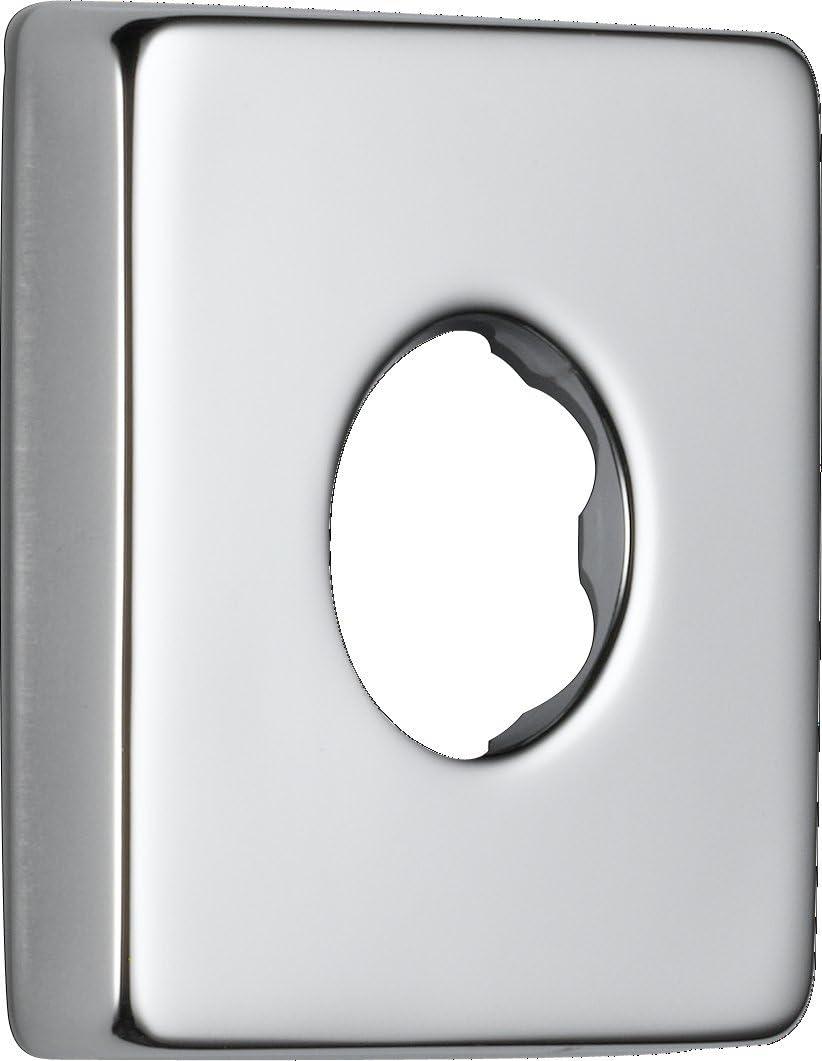 Vero Shower Arm Flange