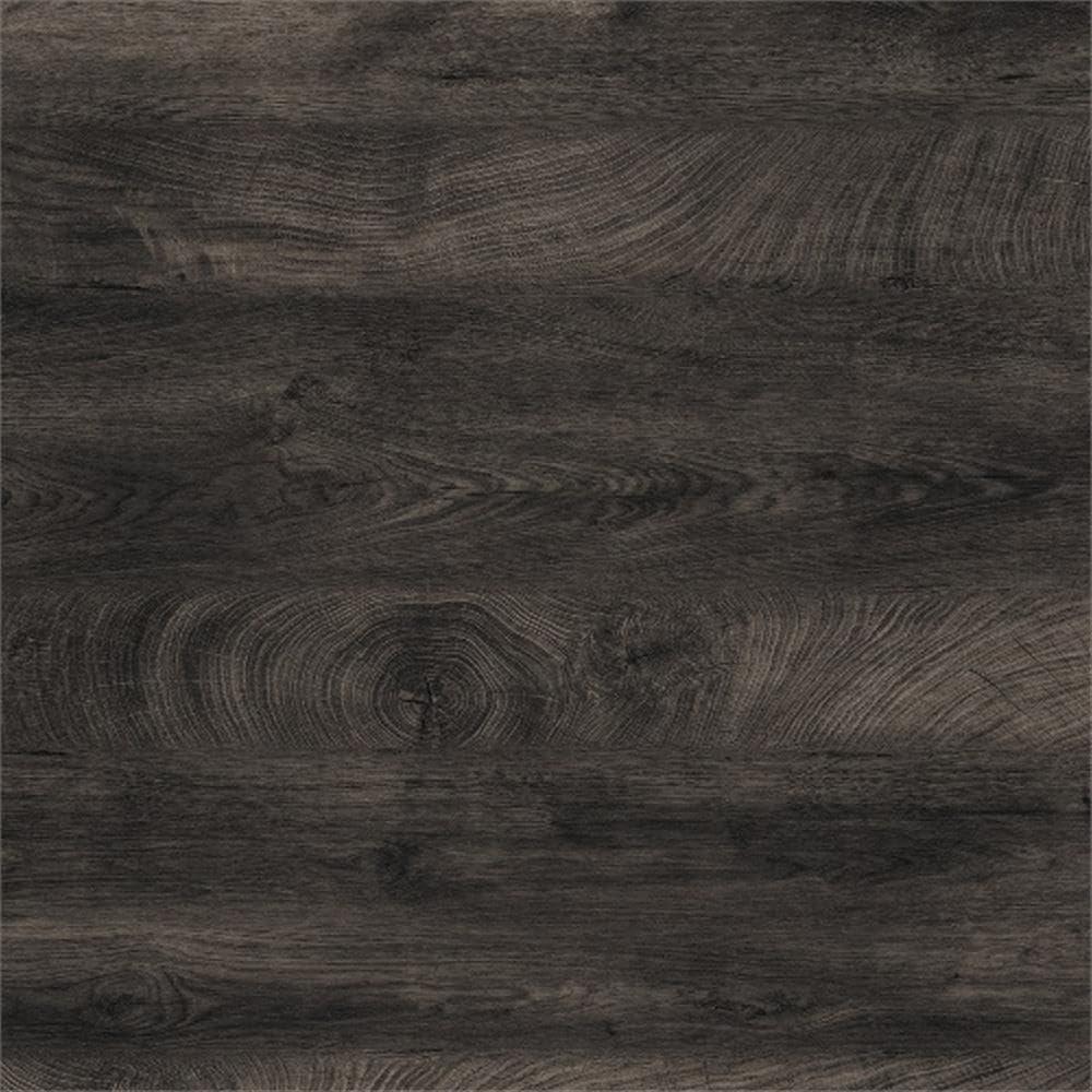 Wildon Home® Nobuhiko Bookcase