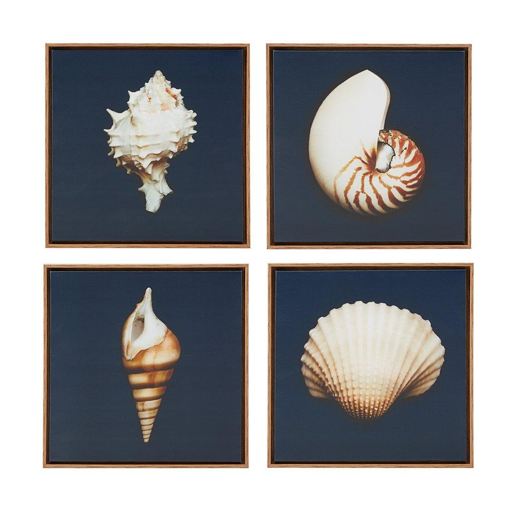 Highland Dunes " Ocean Seashells " by Julie Greenwood 4 - Pieces
