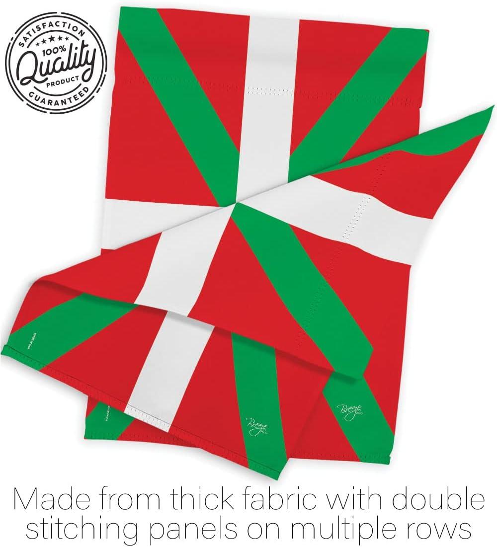 Double Sided Polyester House Flag