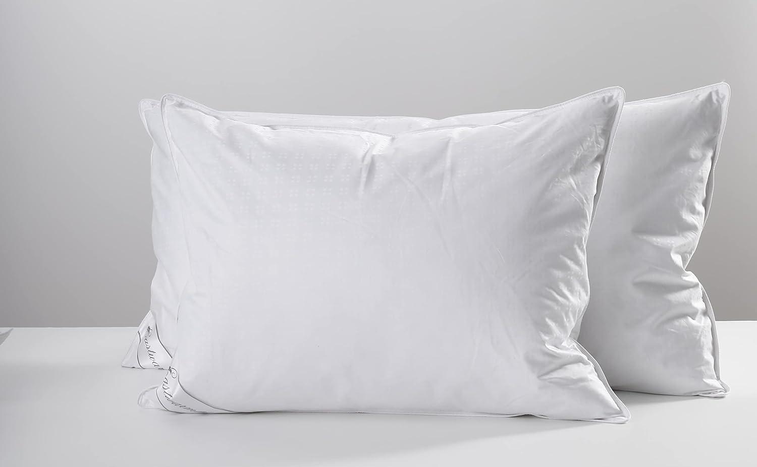 Natural Goose Down&Feather Pair Pillows Insert, Set of 2 Bedding Soft Pillows 100% Soft Cotton Queen 20x30in
