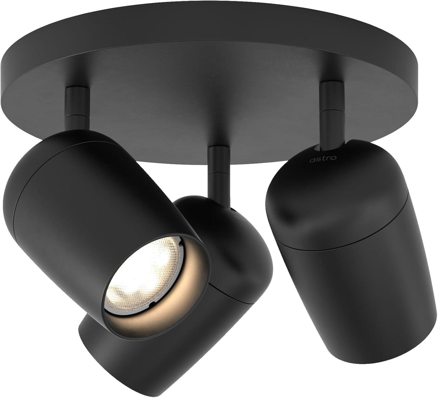 Matte Black Triple Round Indoor Spotlight