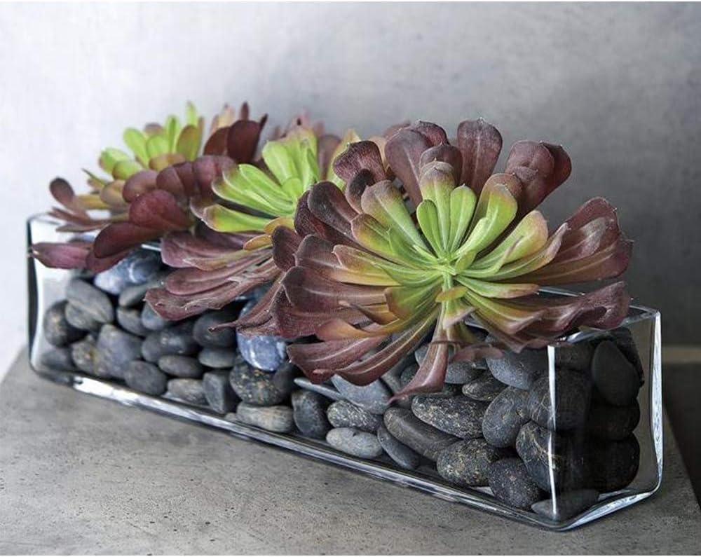 WGV Rectangle Block Glass Vase, Width 4", Length 12", Height 4", Clear Long Floral Container, Candle Holder for Home Office Wedding Decor, 1 Piece